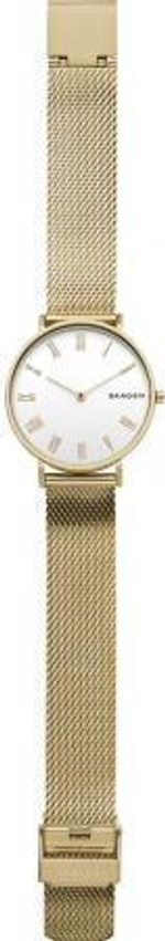 Женские наручные часы Skagen SKW2713