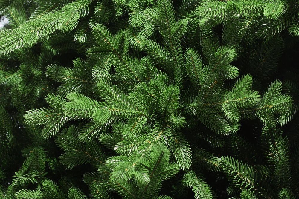 Ель искусственная «Рейна» (Литая хвоя) 3 м