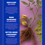 NuStrips, Sleep In A Strip™, голубика, 30 полосок