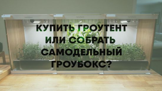 Купить гроутент или собрать самодельный гроубокс?