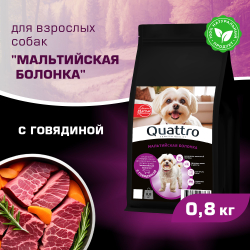 Корм сухой для взрослых собак породы Мальтийская болонка, с говядиной, 800 гр, QUATTRO