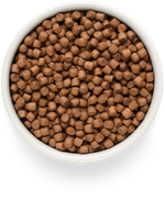 Grandorf Fresh Dog Potato корм сухой беззерновой для собак мелких пород лосось,батат