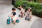 Беговел-каталка Globber Learning Bike 3 в 1 Deluxe Teal