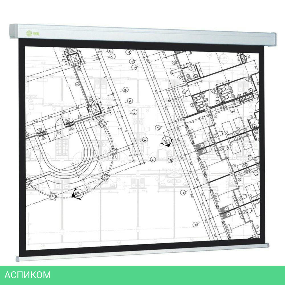 Проекционный экран Cactus CS-PSW-124X221