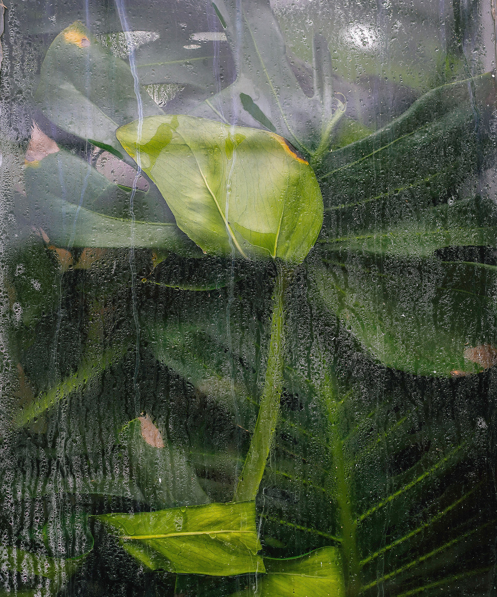 Коллекция FRAME 19