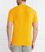 Футболка EA7 - желтый(3DPT29 PJULZ)