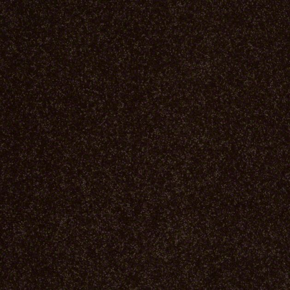 Ковровое покрытие Shaw Floors See the World III 734