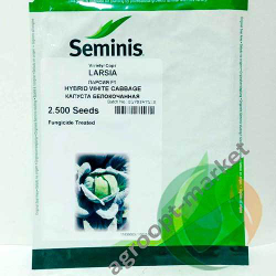 Семена капусты белокочанной Ларсия F1, Seminis