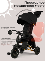 Велосипед трехколесный Qplay S700-17 RIDER SL Black (Rub/Gold)