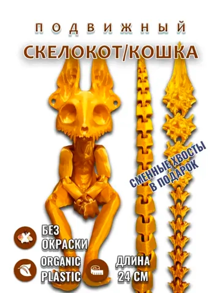 Скелет Кошки