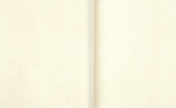 Велюр Нью Йорк 02