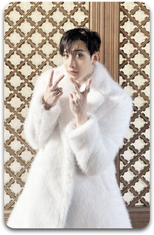 Карта / STRAY KIDS #2260