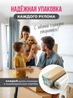 Обои флизелиновые 1.06. ASOZN-14, светло-серые, глянцевые однотонные без подгона, для кухни, гостиной, коридора, спальни, детской
