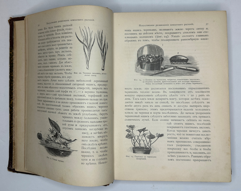 Гесдерфер М. Комнатное садоводство. СПб. Изд. Девриена, 1898г.