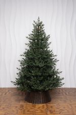 искусственная ель "Царевна леса" литая хвоя, ветки на шарнирах