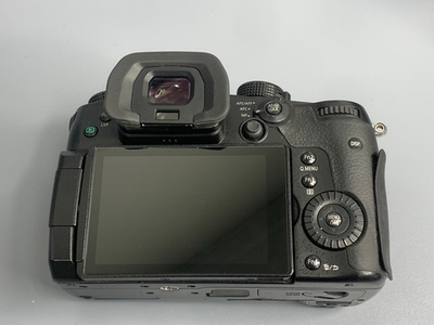 Panasonic Lumix DC-GH5S 16.000 кадров