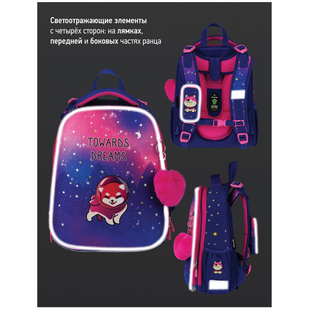 Ранец Berlingo Expert Akita boy 37х28х16см, 2 отд., с анатомической спинкой