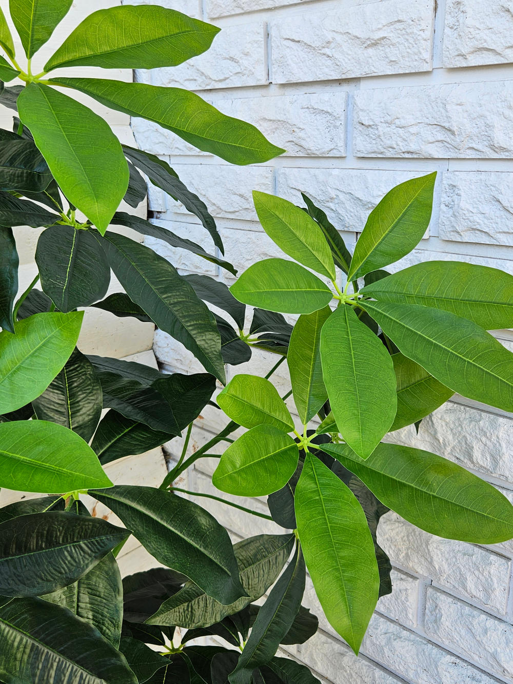 Искусственное дерево Пахира 150см в кашпо