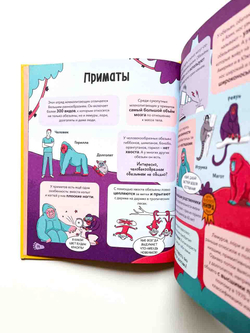 Взрывные факты. Звери. От броненосца до зебры. Самые невероятные факты, рекорды и достижения