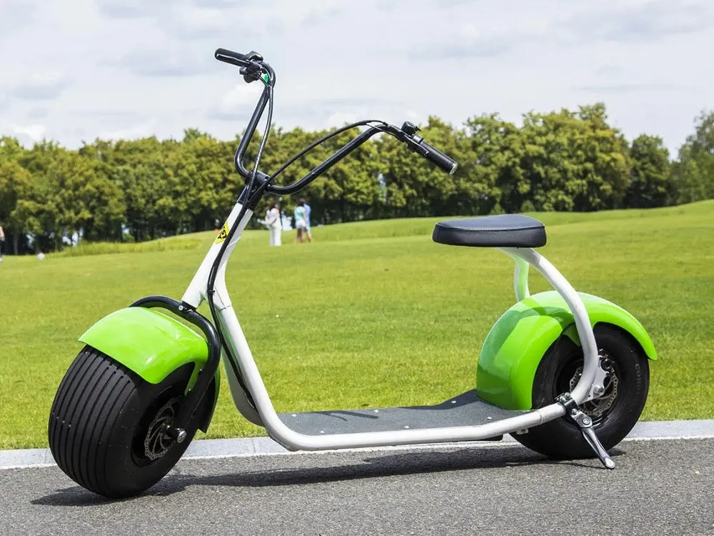Электросамокат El-sport Citycoco 1500W 60V, 20Ah