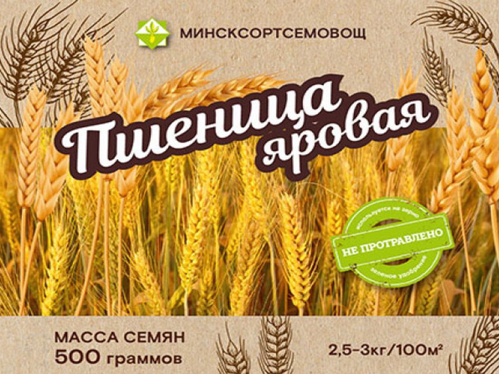 Пшеница яровая &quot;Славянка&quot; 0,5кг, Беларусь.
