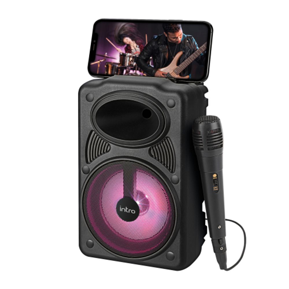 Портативная колонка Intro BRW440 bluetooth беспроводная с микрофоном акустическая черная