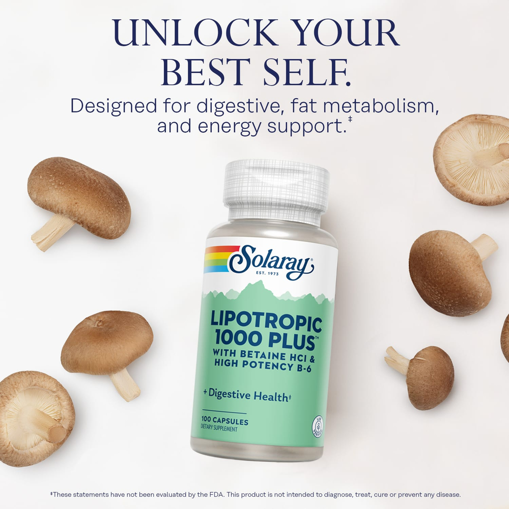 Solaray, Lipotropic 1000 Plus™, 100 капсул