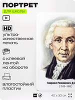 Портрет для школы в кабинет литературы и русского языка "Державин Гавриил Романович", стенд школьный для класса, для оформления классного уголка, 40х30 см, Silver Plane x Айдентика Технолоджи
