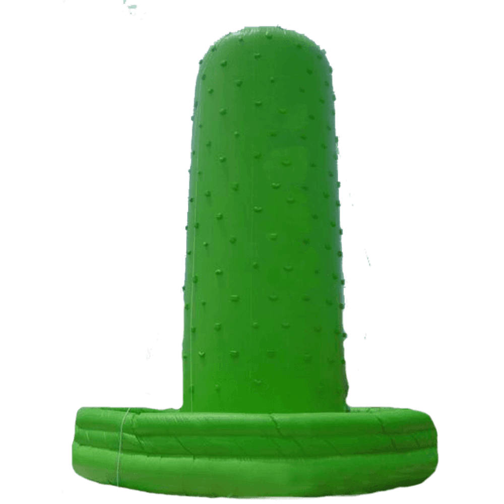 Скалодром "Кактус" 5*5*5 м