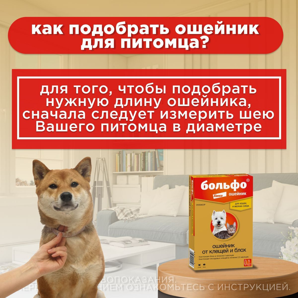 Больфо ошейник от блох и клещей для собак и кошек мелких пород,38см
