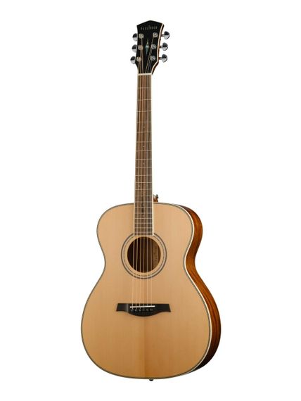 Parkwood P620-WCASE-NAT - акустическая гитара, с футляром, верхняя дека: массив ели, задняя дека и об