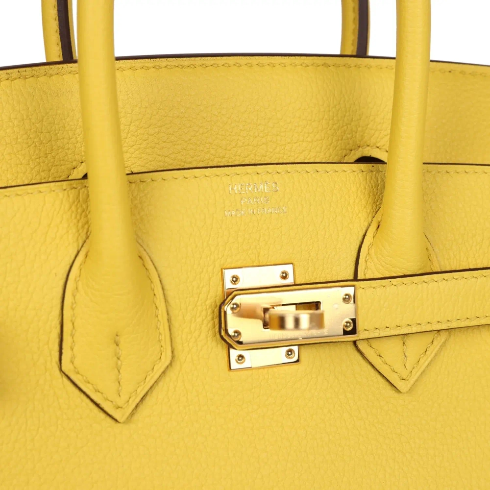 Сумка из коллекции D с золотой фурнитурой Hermès Birkin