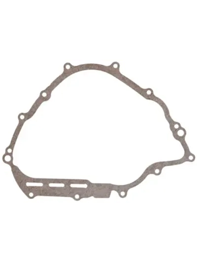 Прокладка Картера