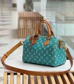 Сумка Louis Vuitton