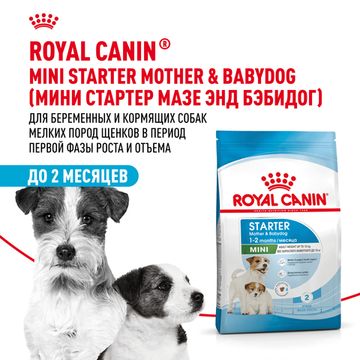 Royal Canin Mini Starter Mother & Babydog для щенков до 2-х месяцев, беременных и кормящих сук