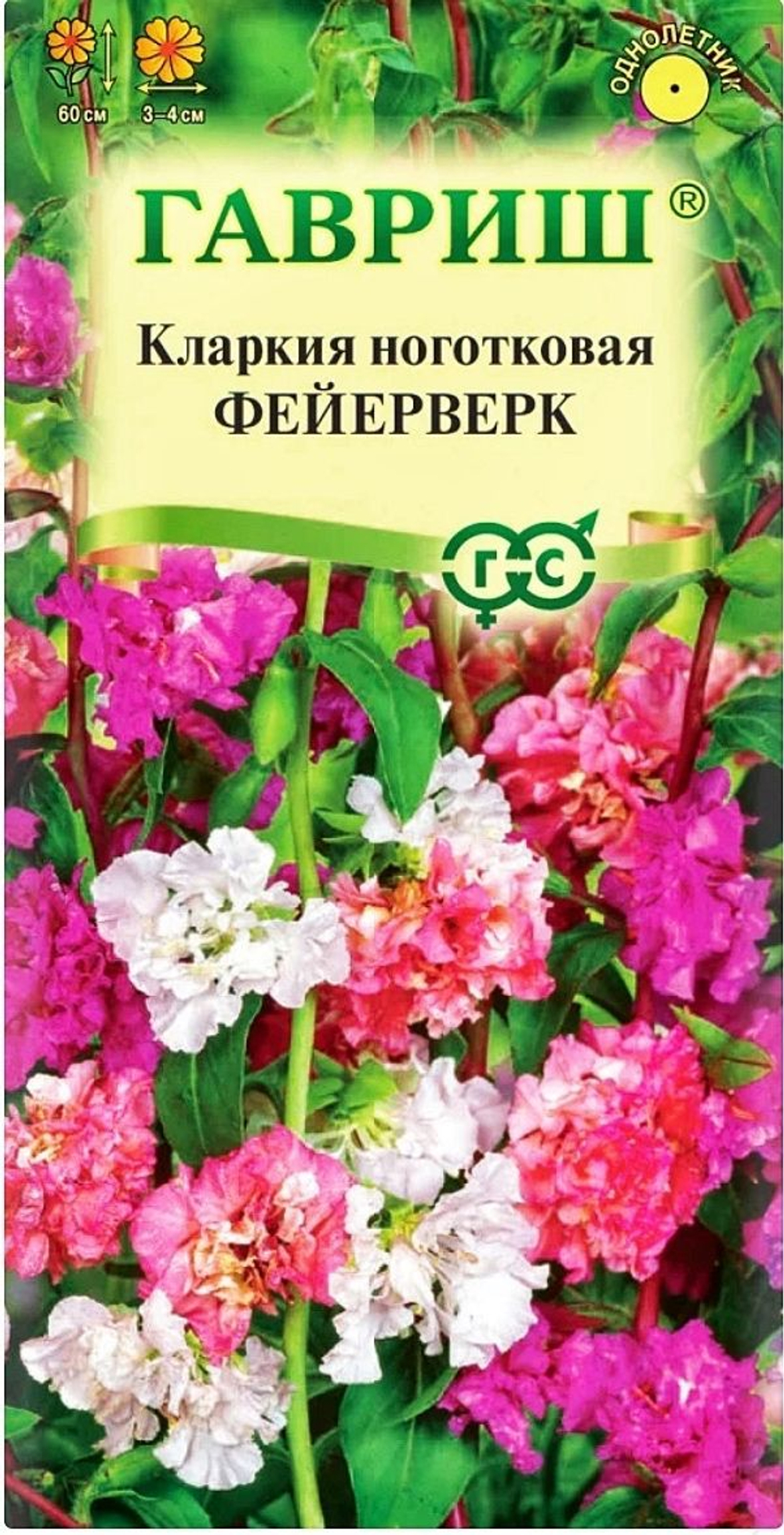 фейер