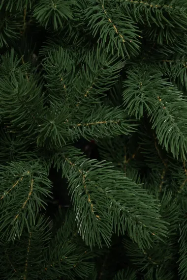 Искусственная елка Приозерская 300 см., 100% литая хвоя, ЕлкиТорг (260300)