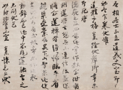 Коллекция Типографика