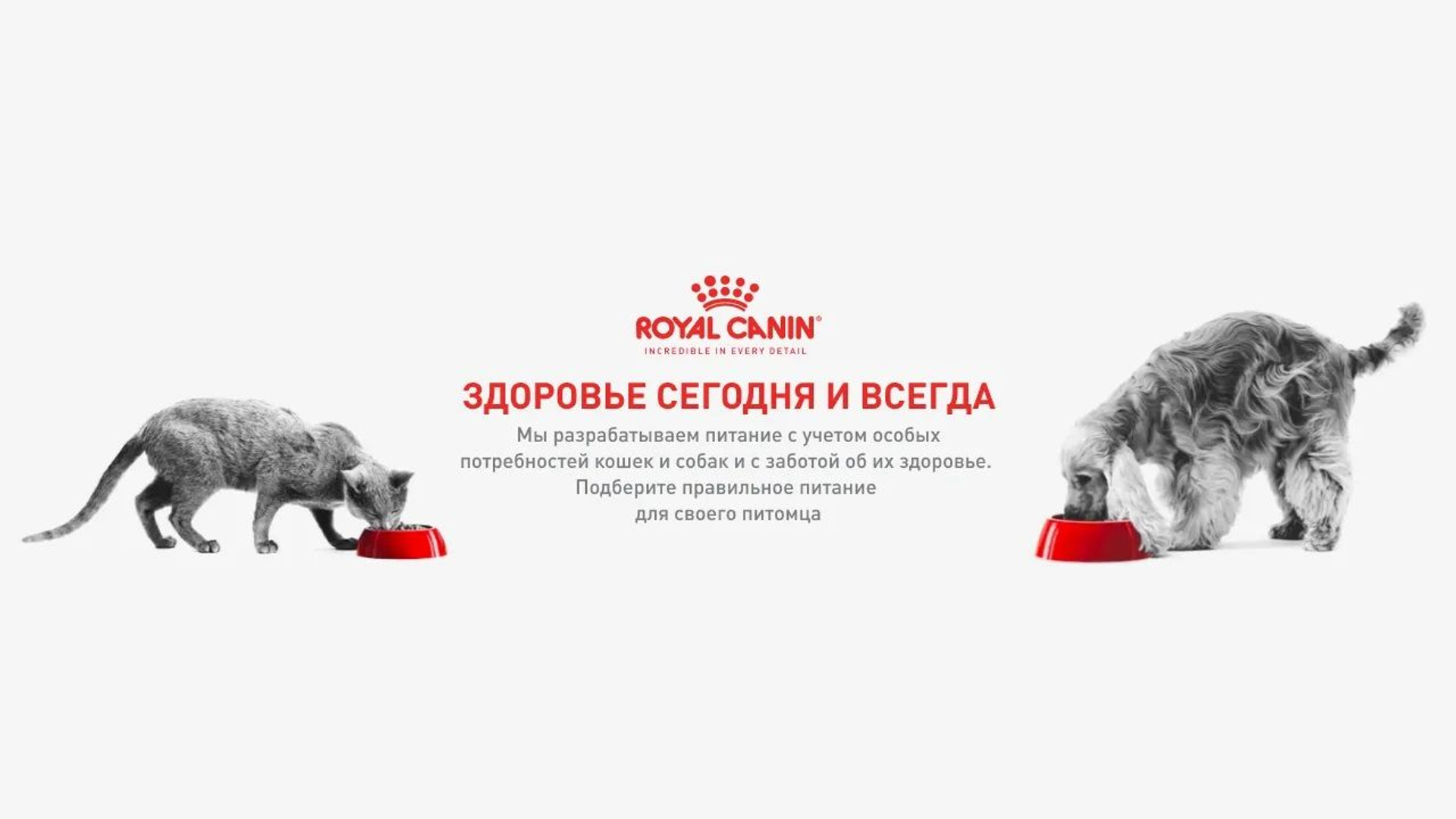 image_7078586_13513231.png@png