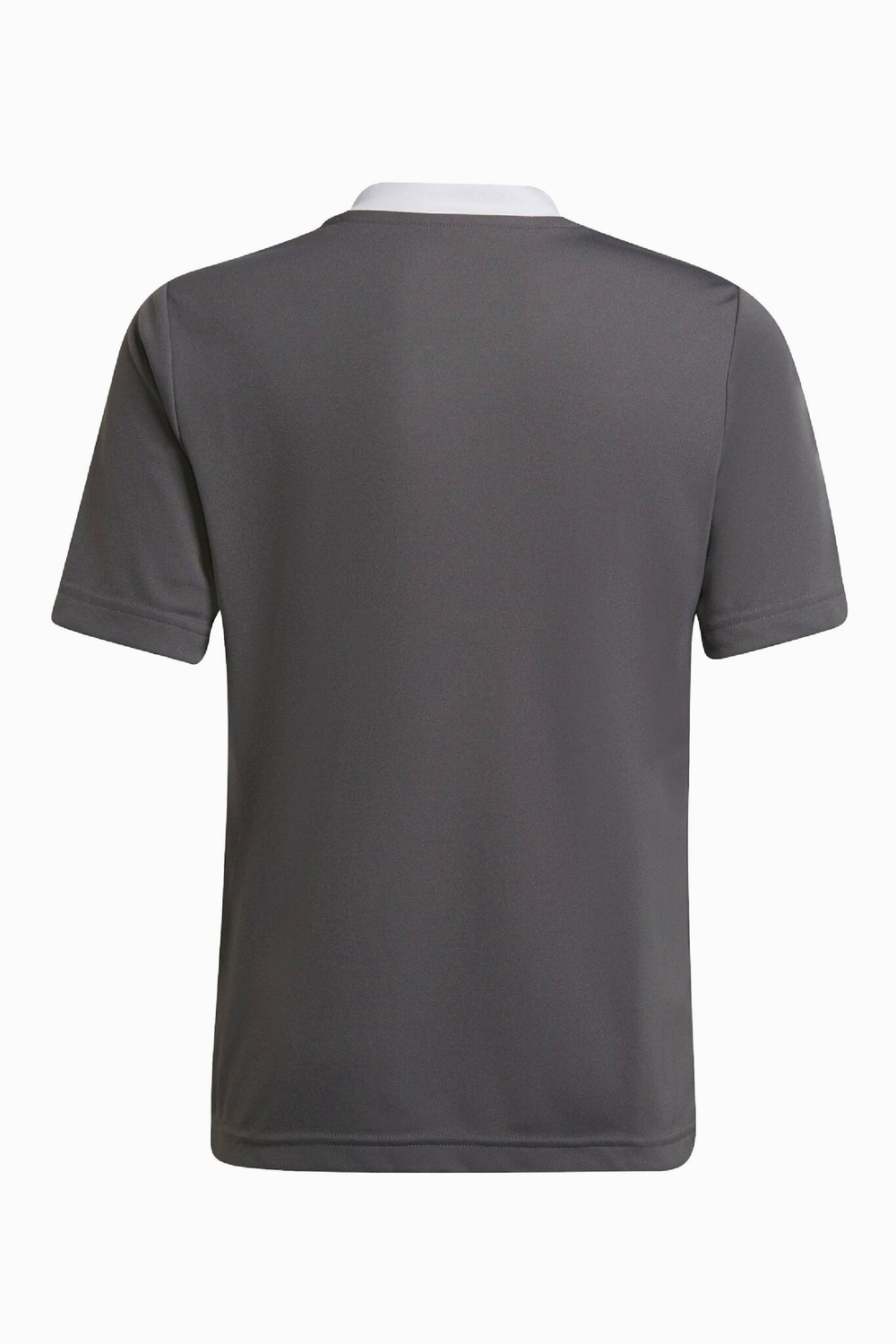 Футболка adidas Entrada 22 Junior