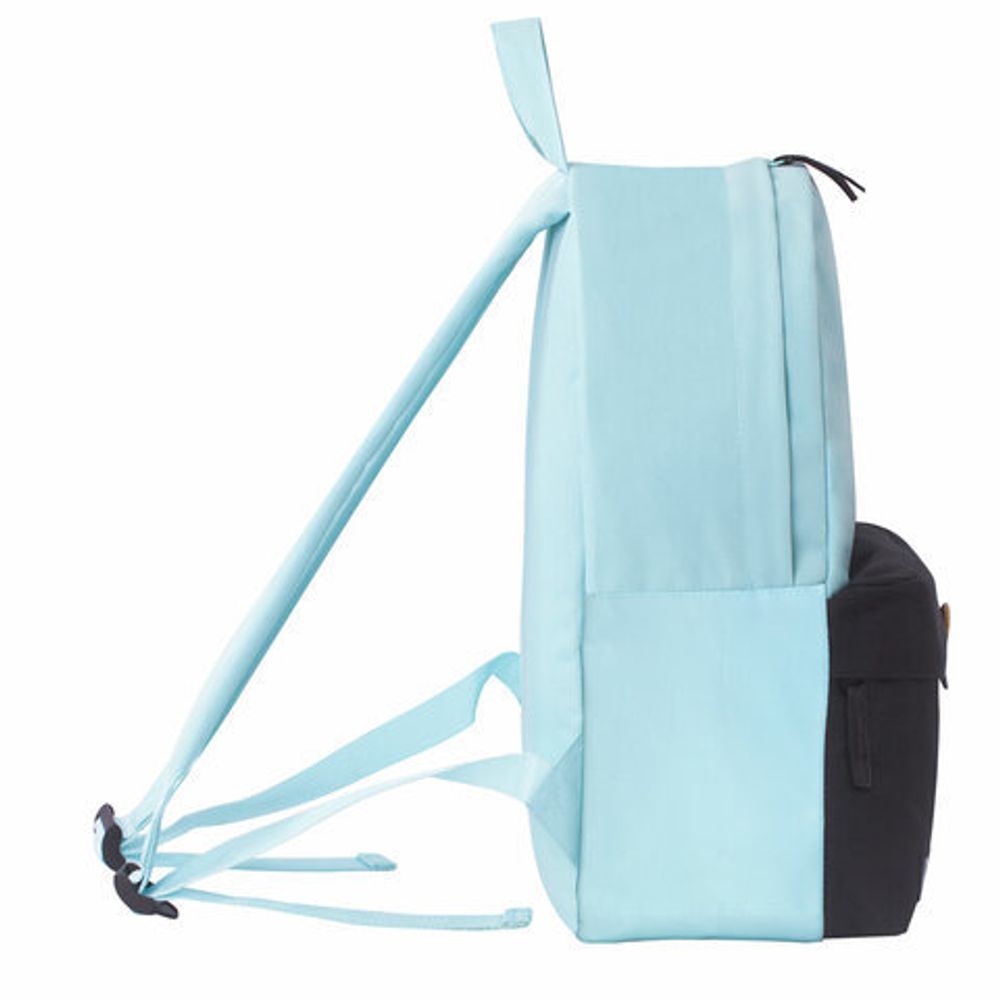 Рюкзак BRAUBERG универсальный, SYDNEY "Green&black", 38х27х12 см, 228839