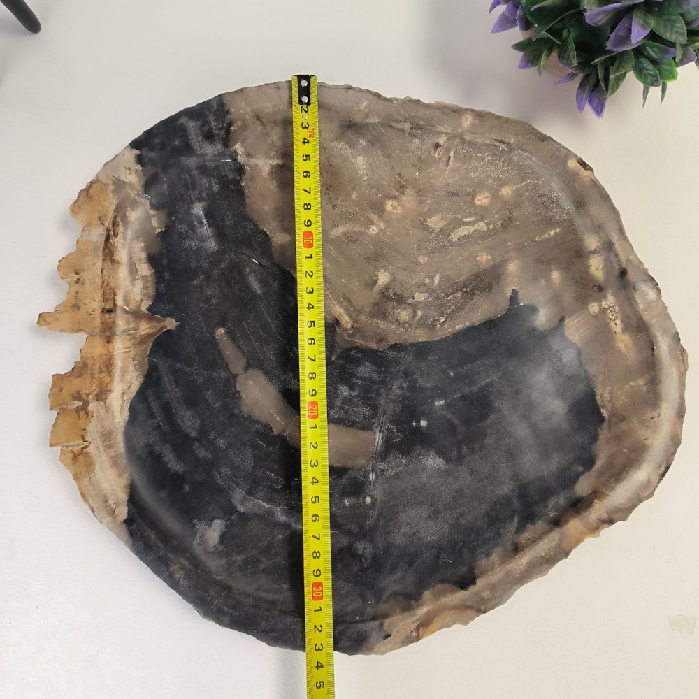 Набор из окаменелого дерева 4 предм Fossil Set NF-63063 поднос 33см*38см