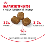 Royal Canin Mini Dental Care Корм сухой для собак мелких размеров 3 кг