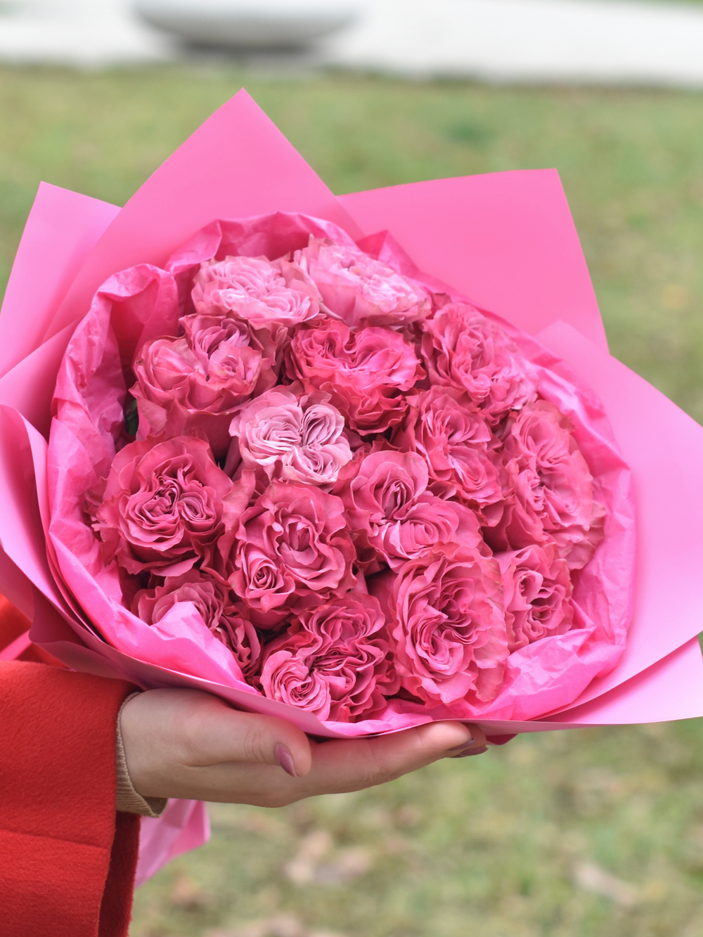 Букет из пионовидных роз «Purpur» 15 шт и клубника в шоколаде