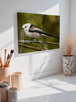 Картина на стену 40 X 50 Птичка