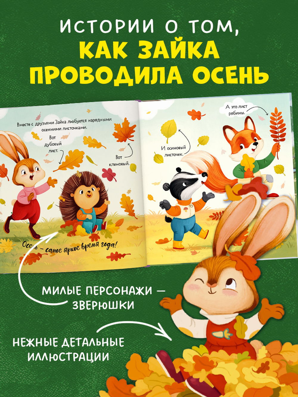 Книжки-картинки. Зайка и золотая осень