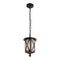 Уличный подвесной светильник Loft IT Ravenna 100016P