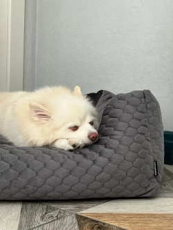 Лежанка для собак средних пород