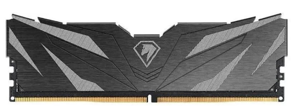Модуль памяти DDR5 16GB Netac NTSWD5P56SP-16K