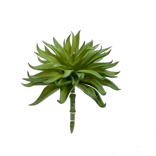 Суккулент 101 зеленый